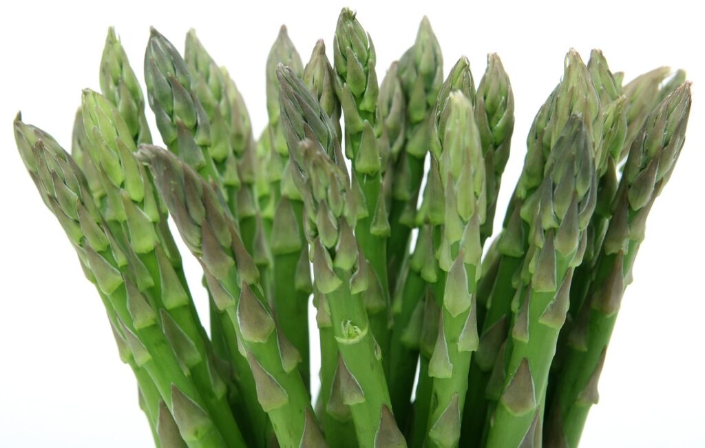 asparagus, food, fresh-1239162.jpg