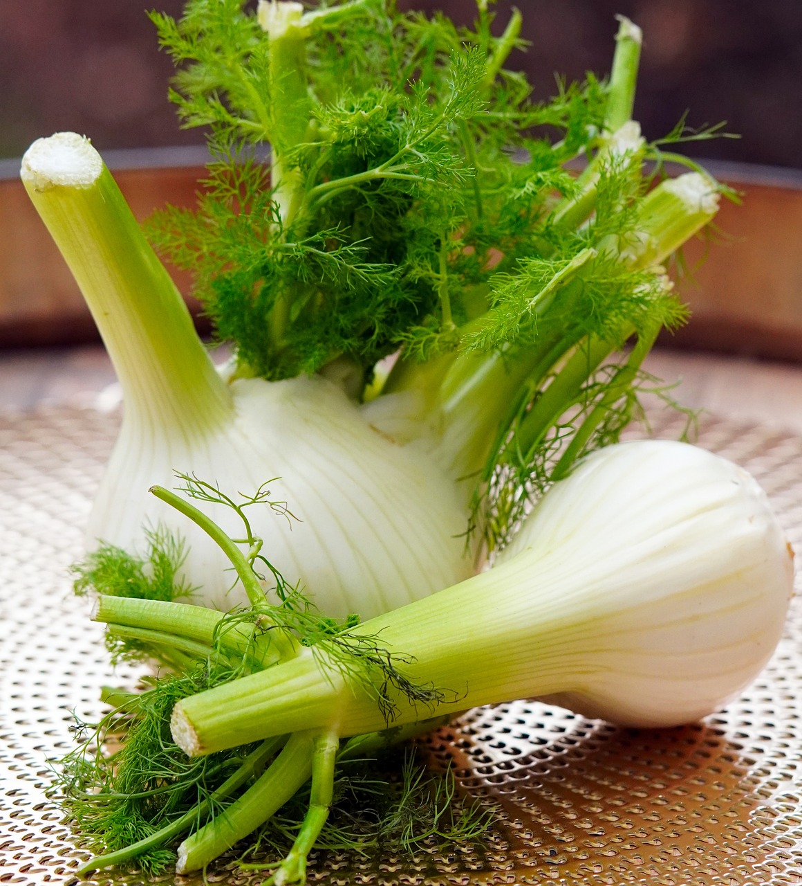 fennel, vegetables, produce-6947467.jpg